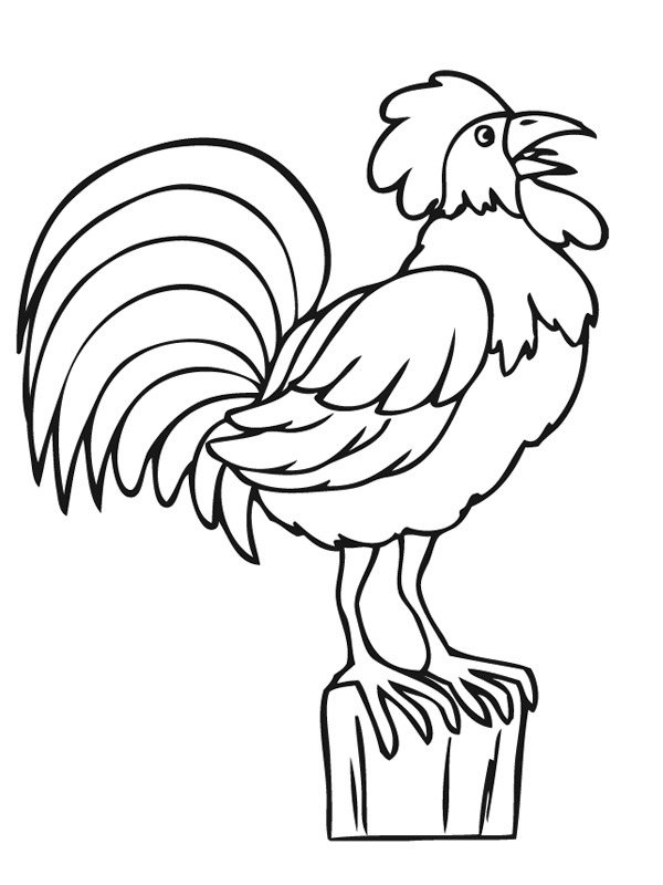 Kogut kolorowanki